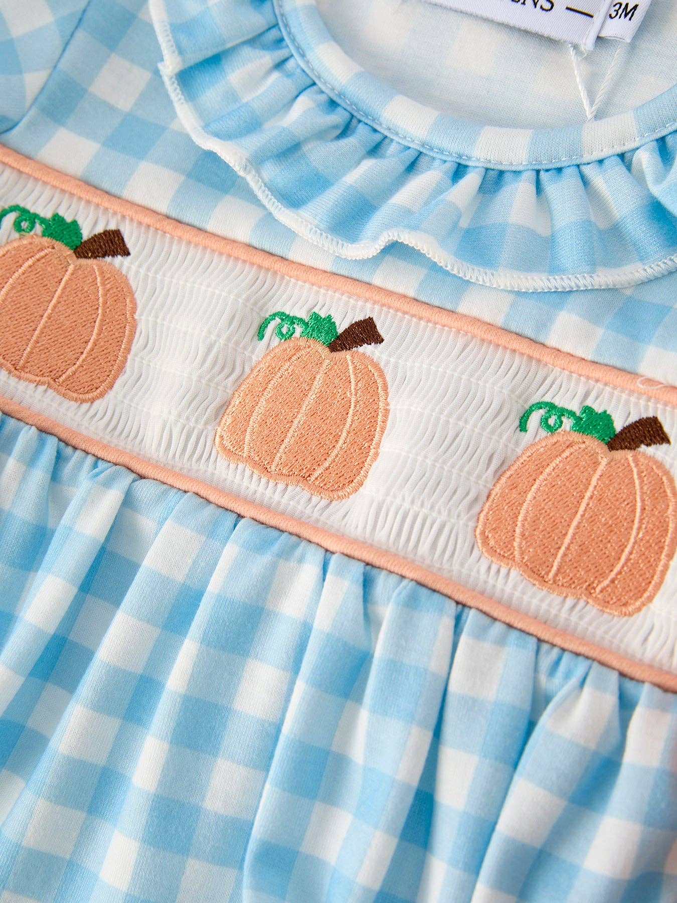 Pumpkin Embroidery Blue Plaid Bubble
